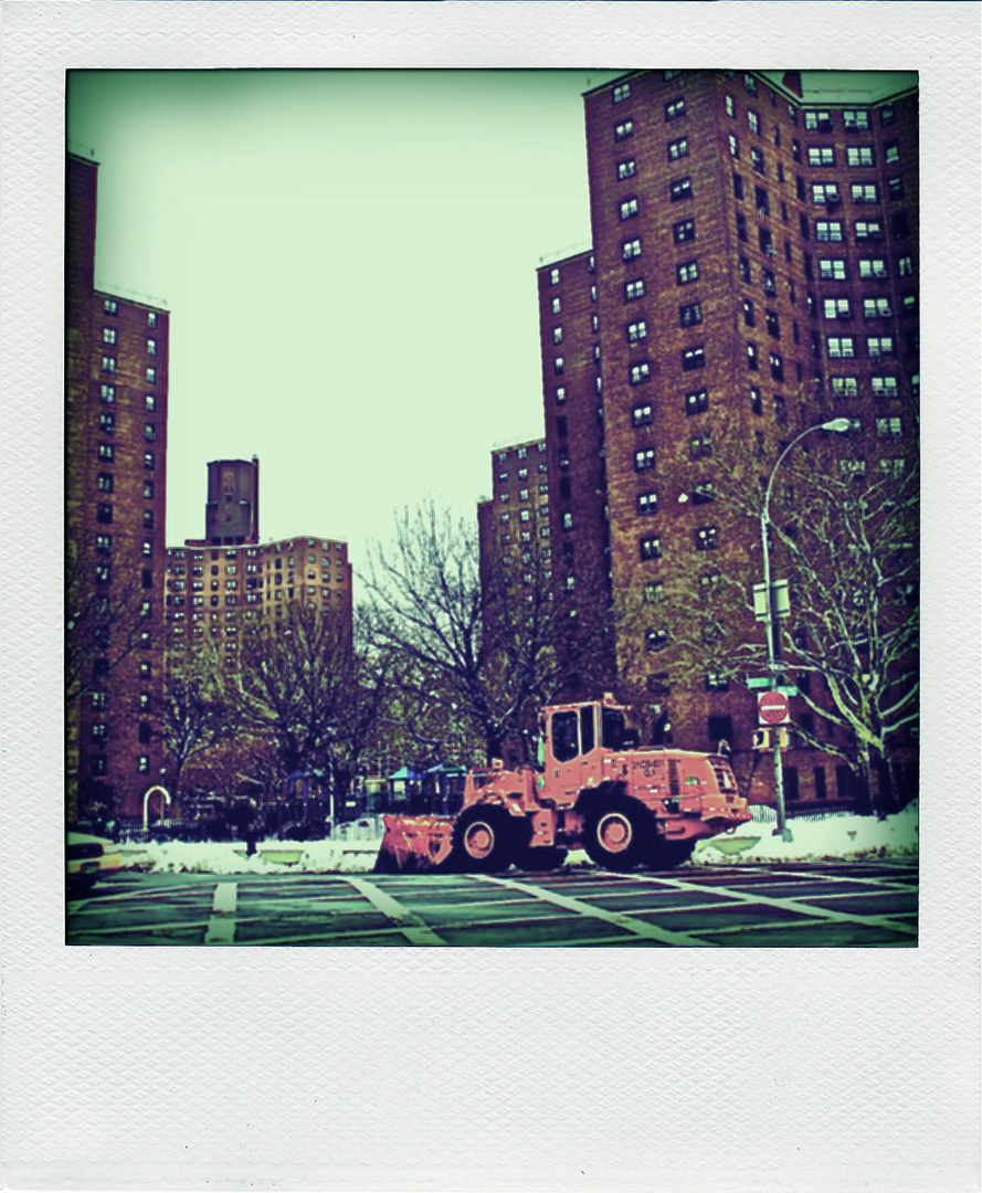 N.Y.Pola4