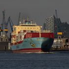 Nysted Maersk vor ElPhi