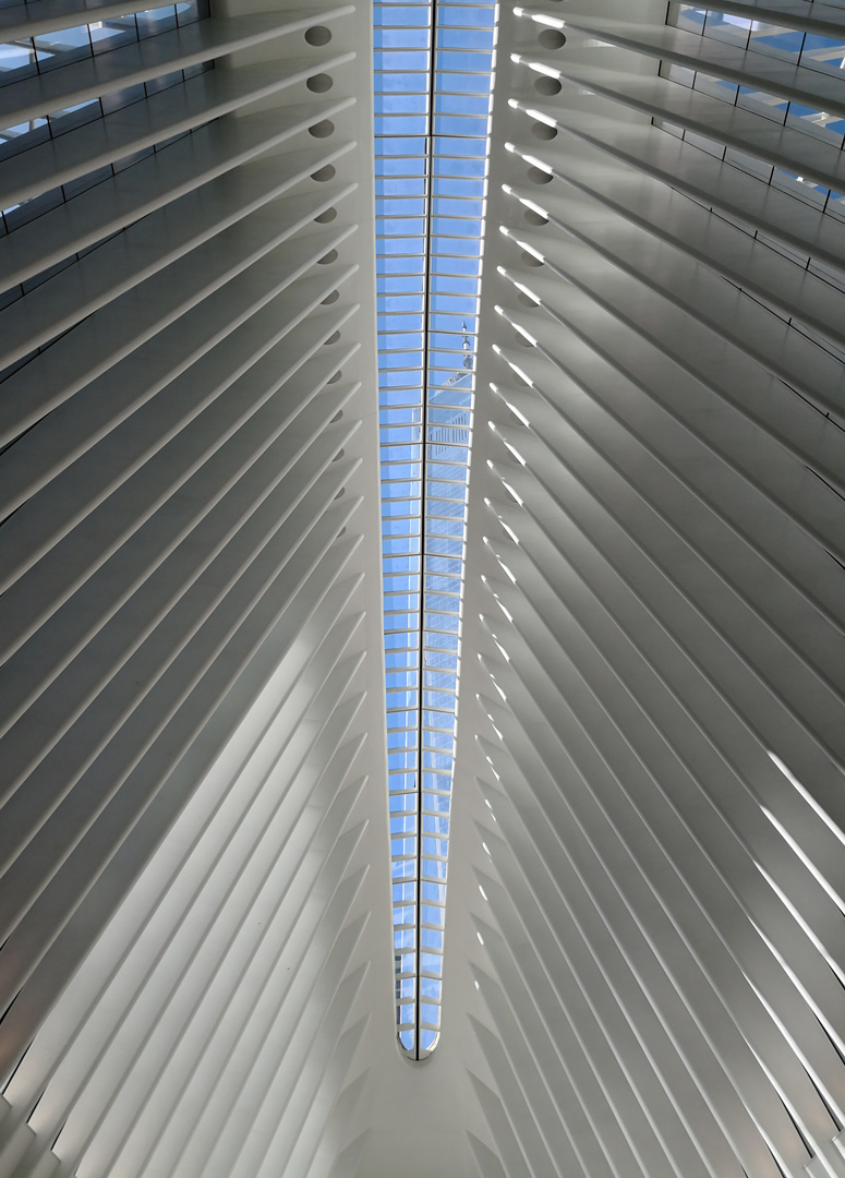 NY_WTC