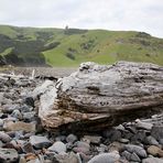 NZ-13-12-13-The Hickory Bay [2]