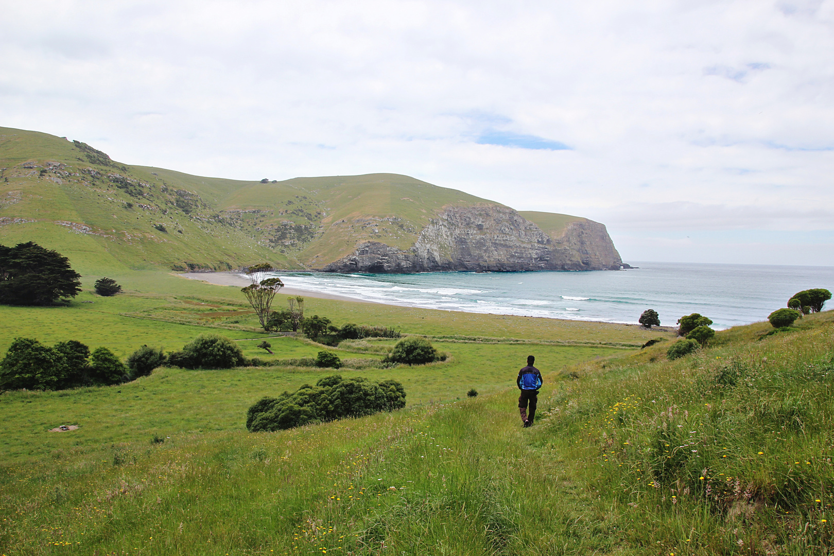 NZ-13-12-13-The Hickory Bay [3]