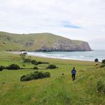 NZ-13-12-13-The Hickory Bay [3]