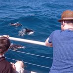 NZ-13-12-14-Dolphin Watching [2]