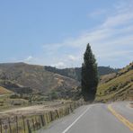 NZ-13-12-15-The Roadmovie Day [2]