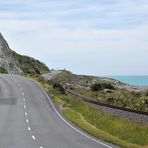 NZ-13-12-15-The Roadmovie Day