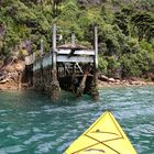 NZ-13-12-16-Setting Sail on Marlborough Sound [1]