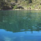 NZ-13-12-18-Chilled to Punga Cove [1]
