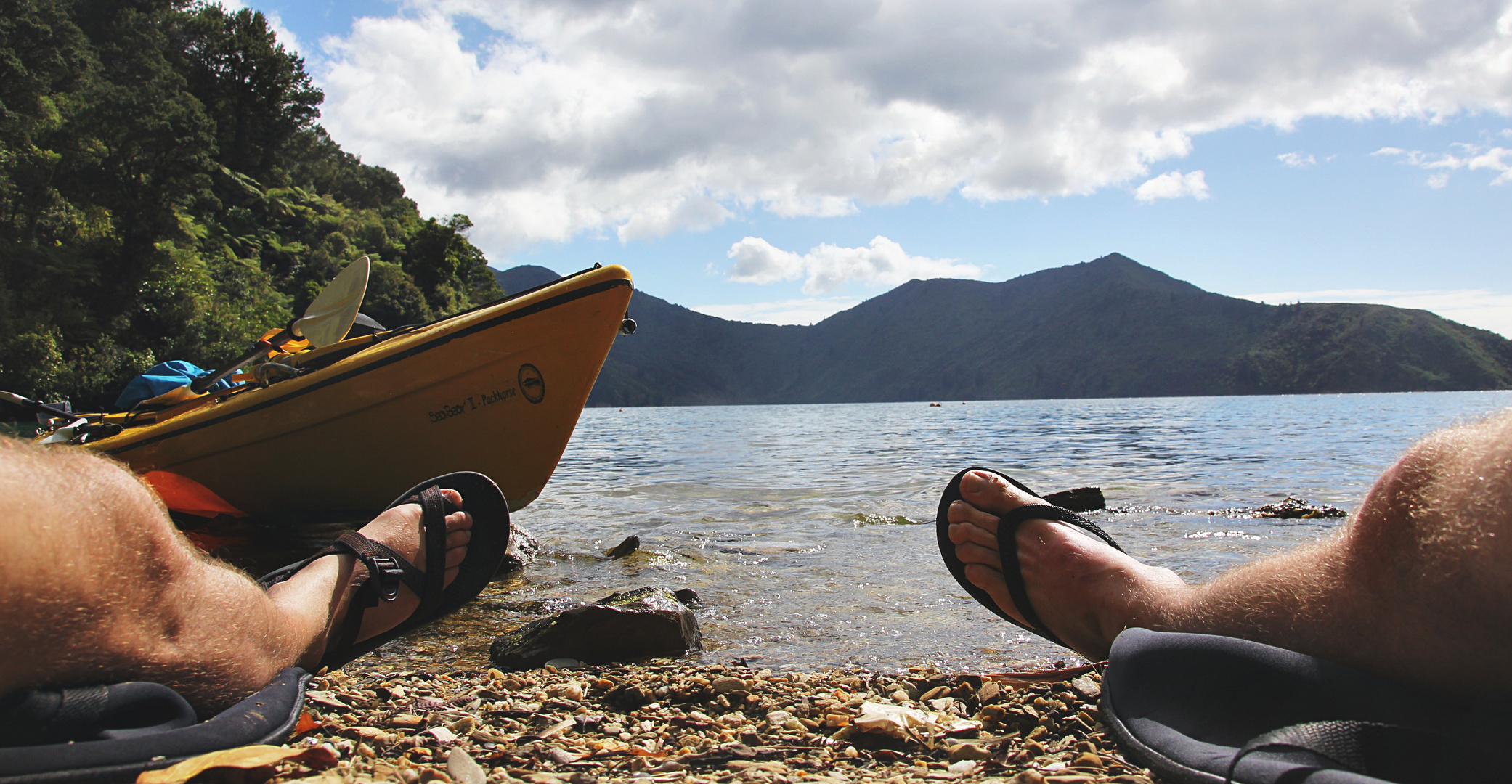 NZ-13-12-18-Chilled to Punga Cove [2]