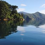 NZ-13-12-18-Chilled to Punga Cove