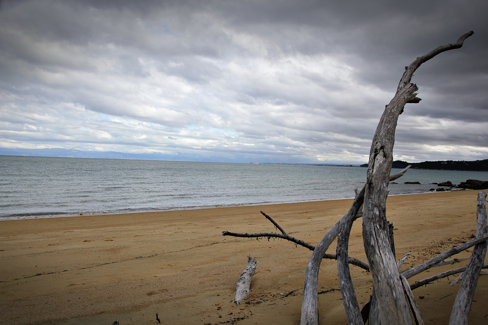 NZ-13-12-19-Up to Able Tasman