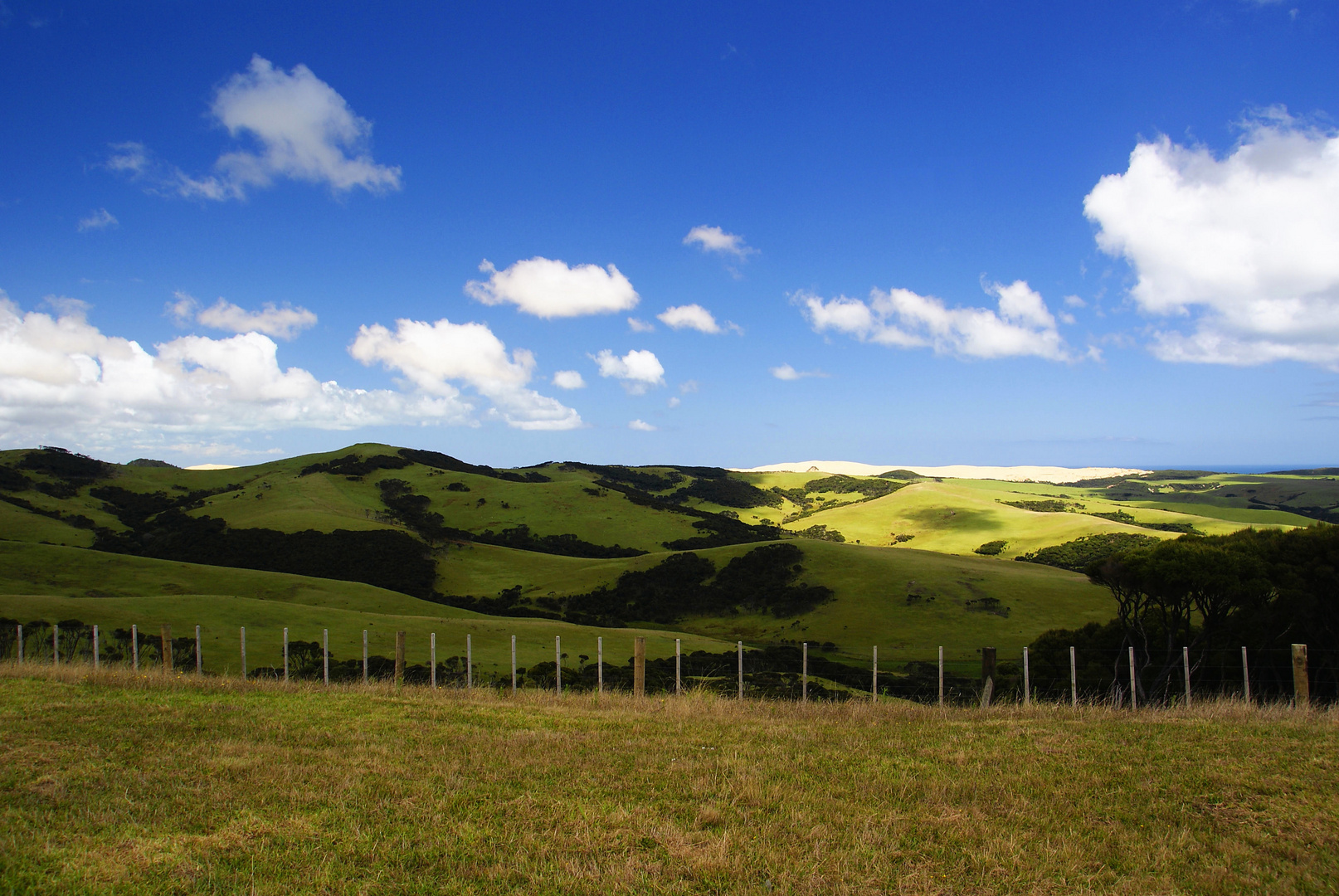 NZ Abschied von Cape Reinga Rückfahrt