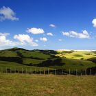 NZ Abschied von Cape Reinga Rückfahrt