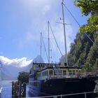 NZ Ankunft am Milford Sound