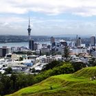 NZ Auckland vom Mount Eden...