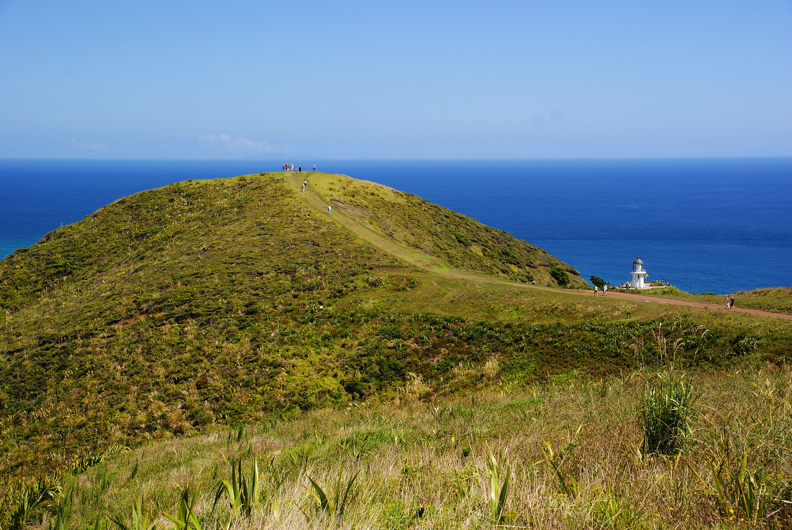 NZ Auf dem Weg zum Horizont