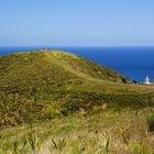 NZ Auf dem Weg zum Horizont