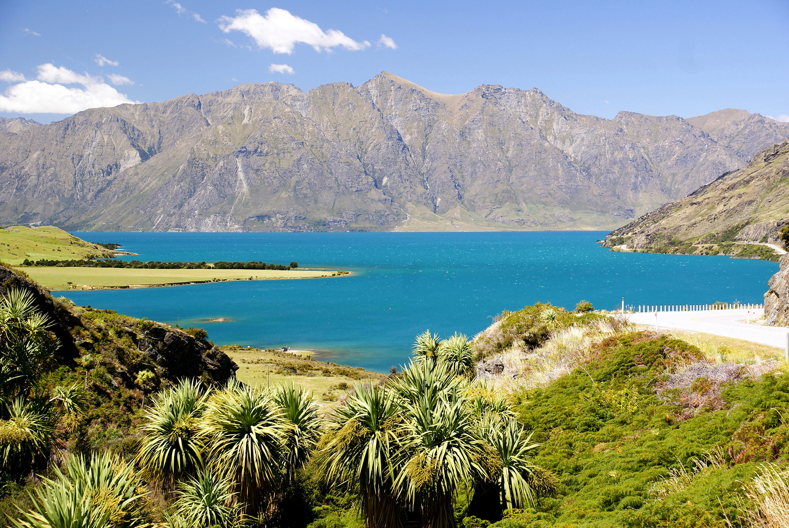 NZ Beim Lake Hawea