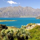 NZ Beim Lake Hawea