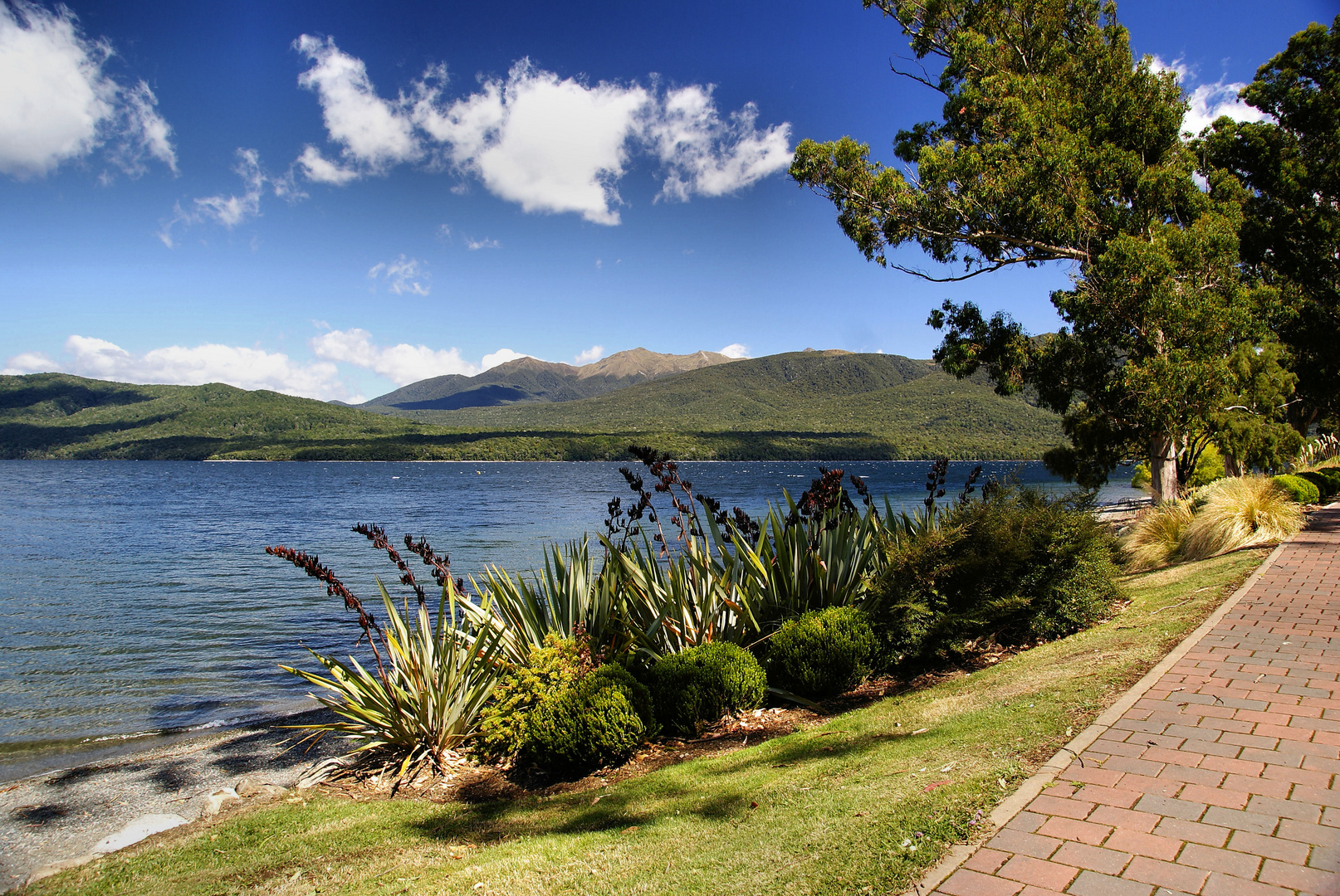 NZ Beim Lake Te Anau