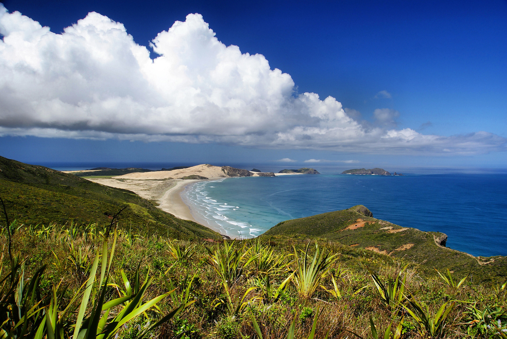 NZ Blick vom Cape Reinga zur Tasman-See