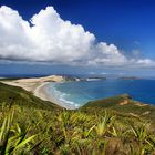 NZ Blick vom Cape Reinga zur Tasman-See