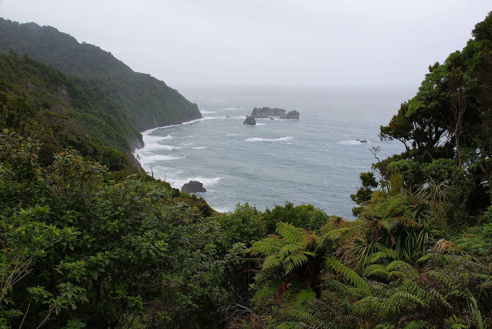 NZ Bucht an der Tasman-See