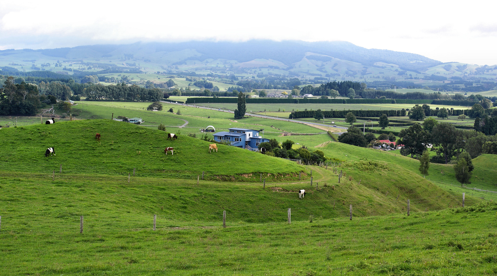 NZ Cambridge Übernachtung im Farmhaus