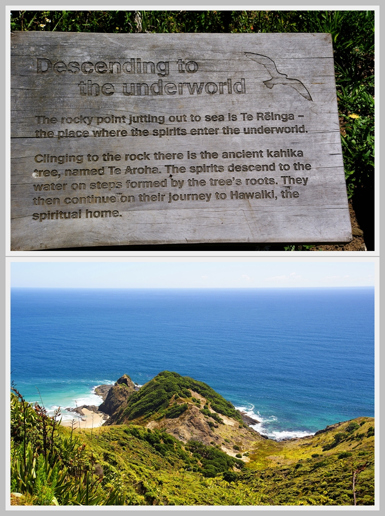 NZ Cape Reinga Abstieg in díe Unterwelt