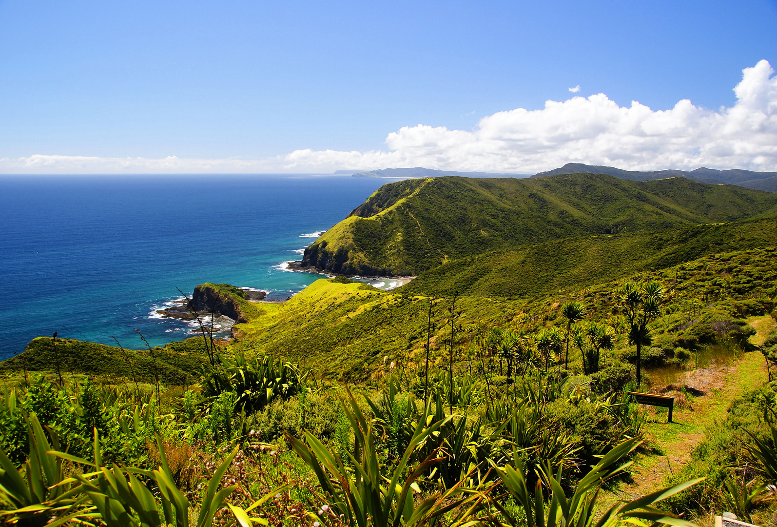 NZ Cape Reinga Blick nach Osten