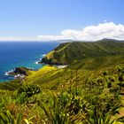 NZ Cape Reinga Blick nach Osten