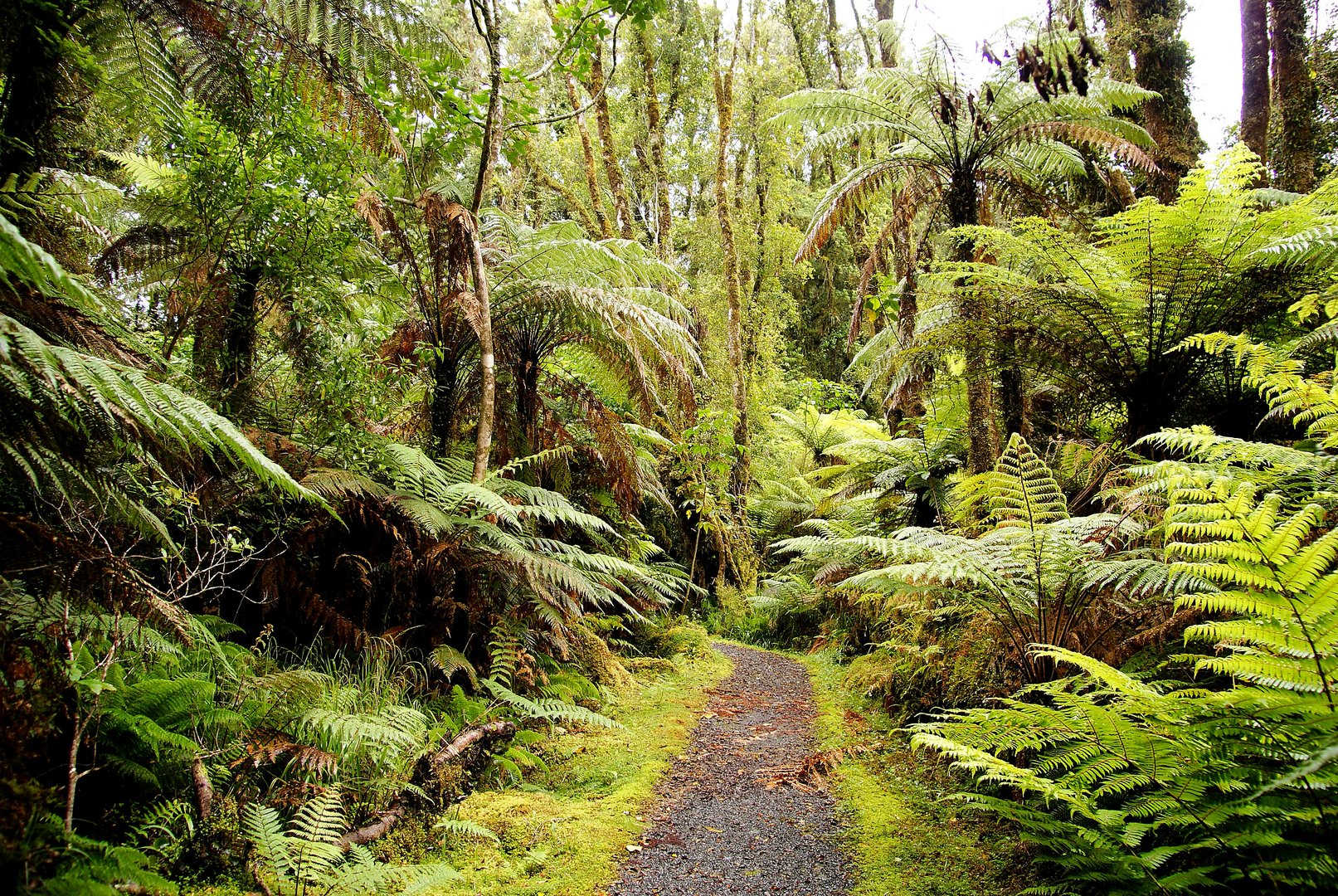 NZ Denk´ ich an Neuseeland...