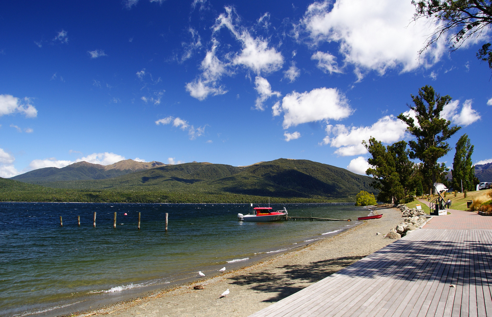 NZ Der Lake Te Anau