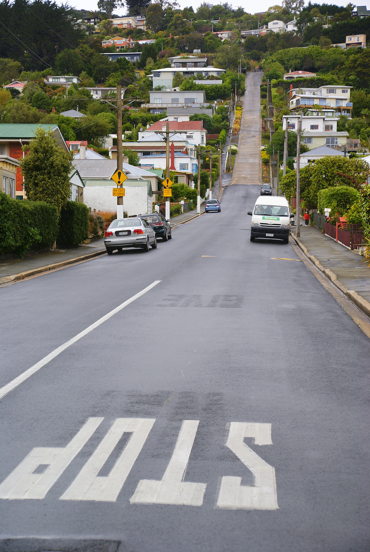 NZ Dunedin Baldwin Street