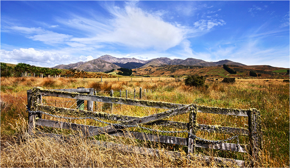 NZ