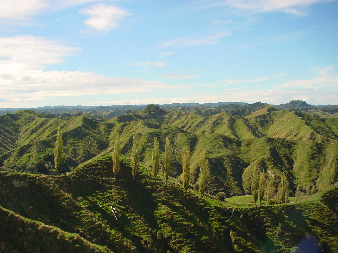 NZ - Forgotten World Highway 43