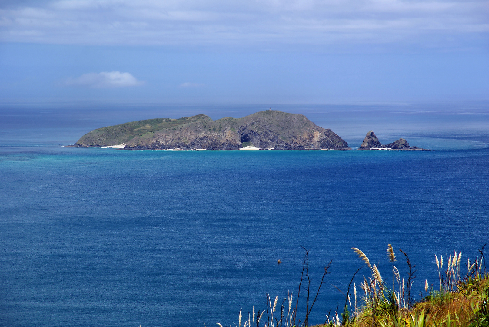 NZ Insel beim Cape Maria van Diemen