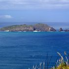 NZ Insel beim Cape Maria van Diemen