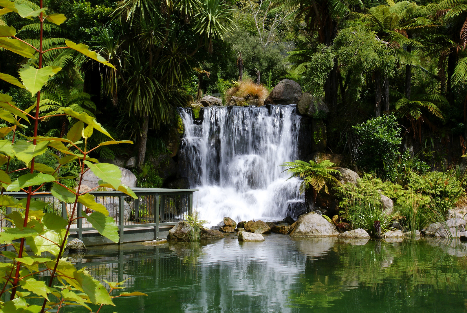 NZ Kiwi Wildlife Park