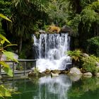 NZ Kiwi Wildlife Park