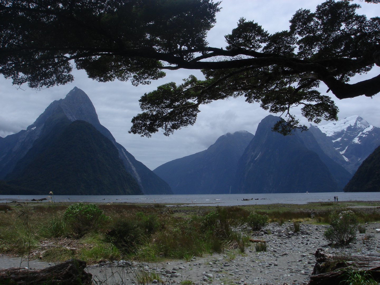 NZ klassisch