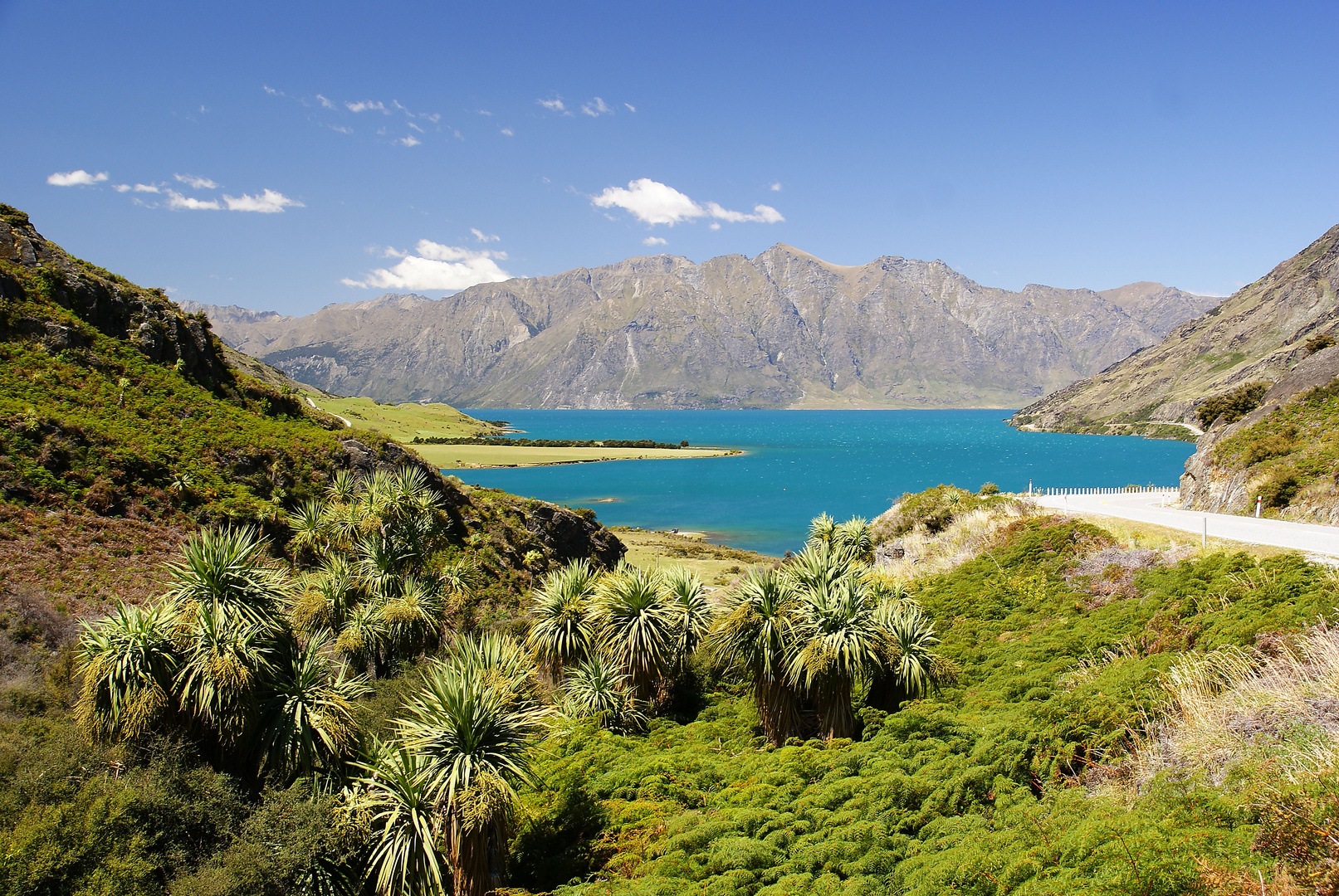 NZ Lake Hawea