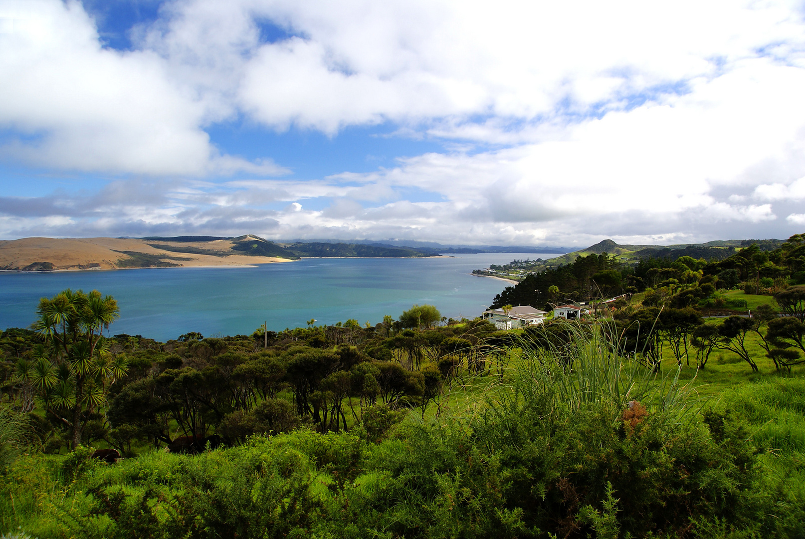 NZ Lake Omapere 2