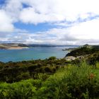 NZ Lake Omapere 2