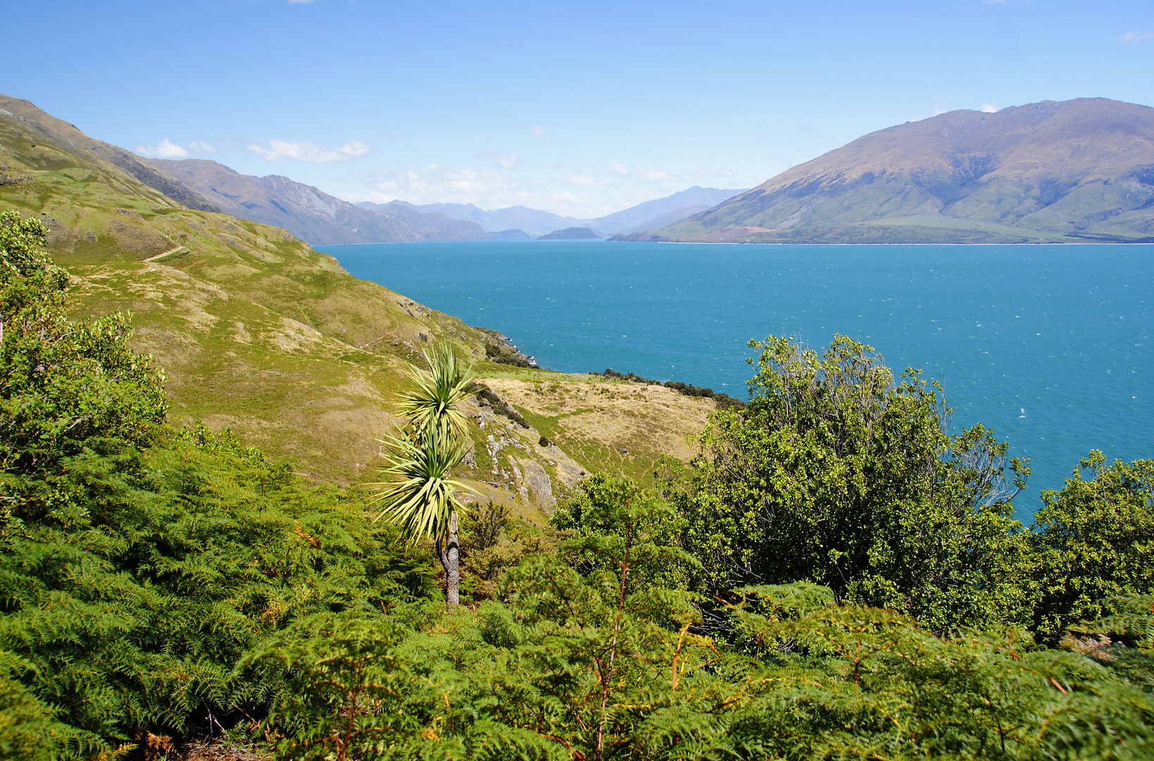 NZ Lake Wanaka