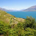 NZ Lake Wanaka