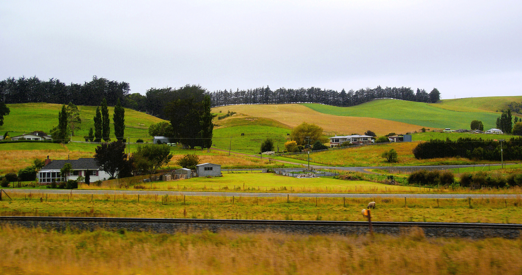 NZ Landleben