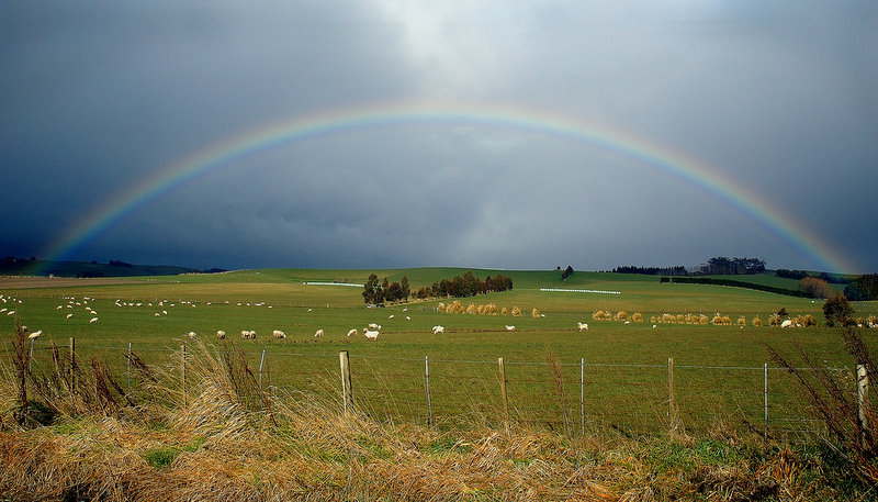 NZ landscape