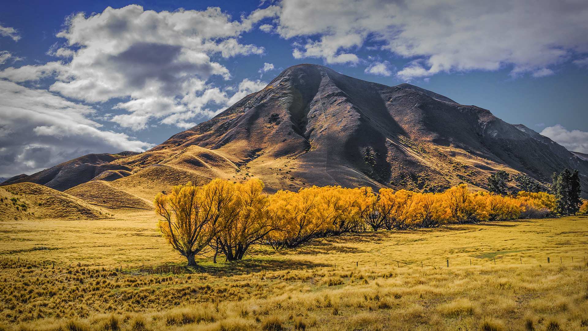 NZ Landscape