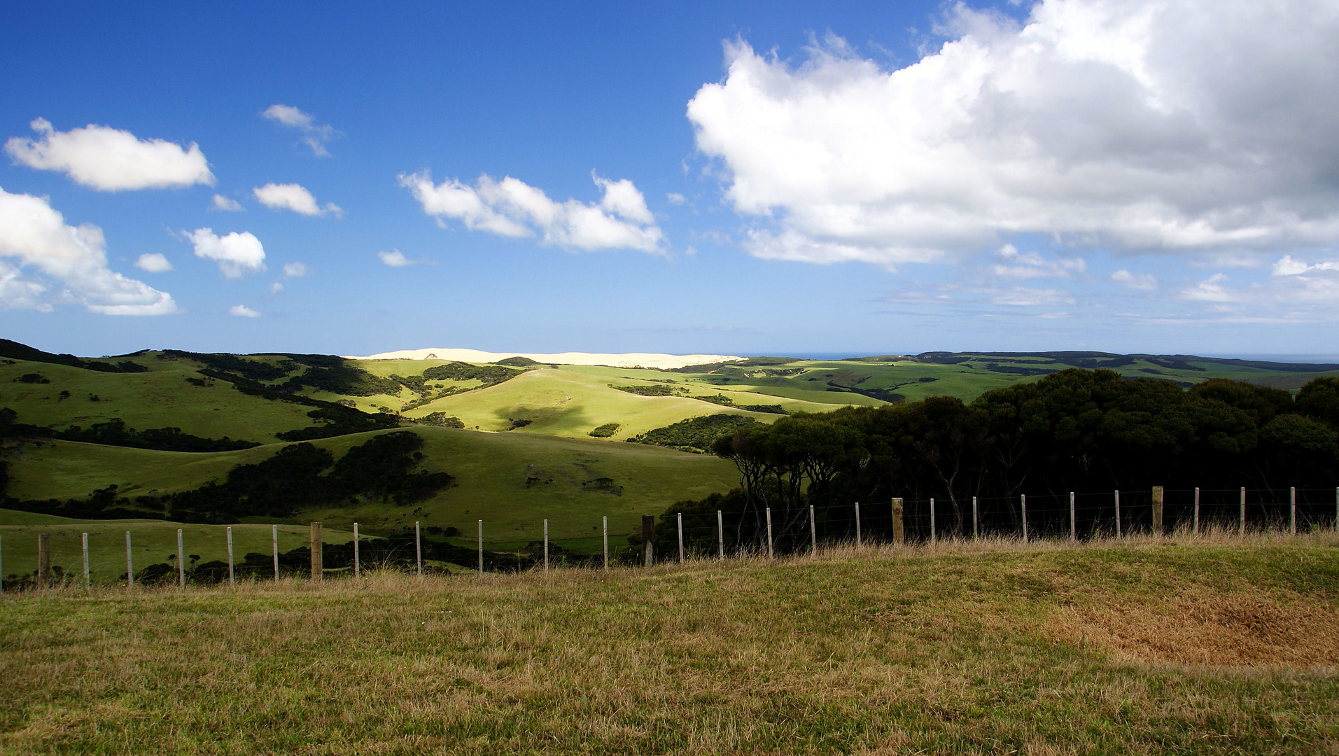 NZ Licht-Schatten-Spiele