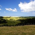 NZ Licht-Schatten-Spiele